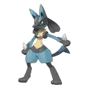 Lucario